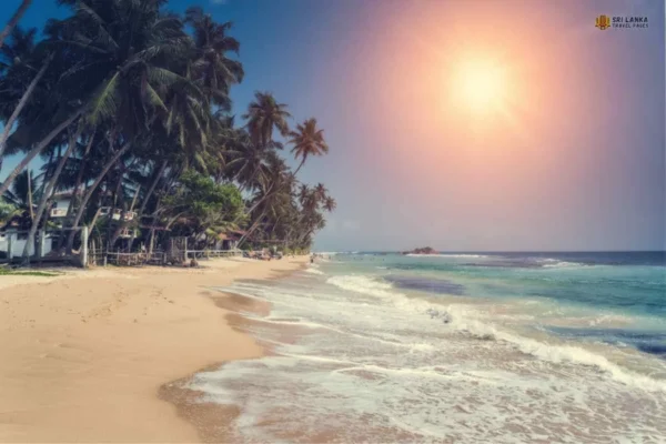 20 Day Sri Lanka Round Tour Itinerary - Image 14
