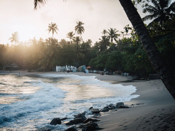 20 Day Sri Lanka Round Tour Itinerary - Image 18