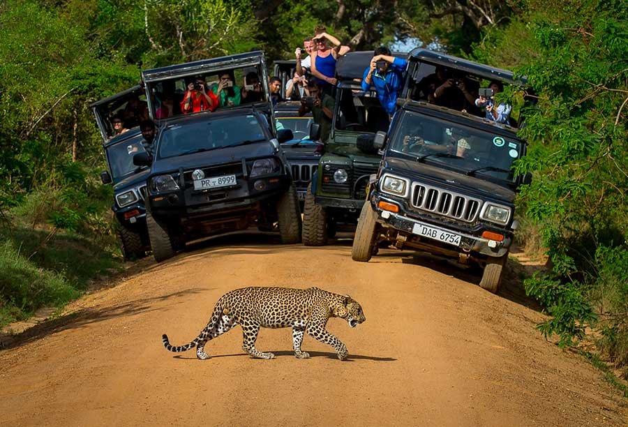 Yala National Park