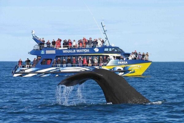 20 Day Sri Lanka Round Tour Itinerary - Image 17