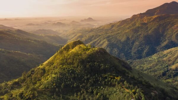 20 Day Sri Lanka Round Tour Itinerary - Image 20
