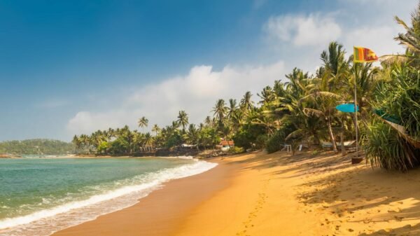 10 Days Round Tour Package - Image 2