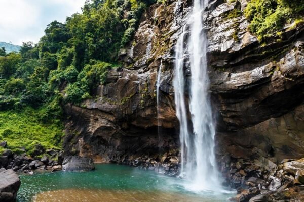 10 Days Round Tour Package - Image 5